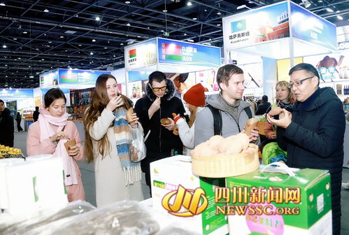 第二届遂宁进出口商品交易会暨2024年“蜀里安逸”遂宁迎春购物月启动，日用百货点亮消费新热潮